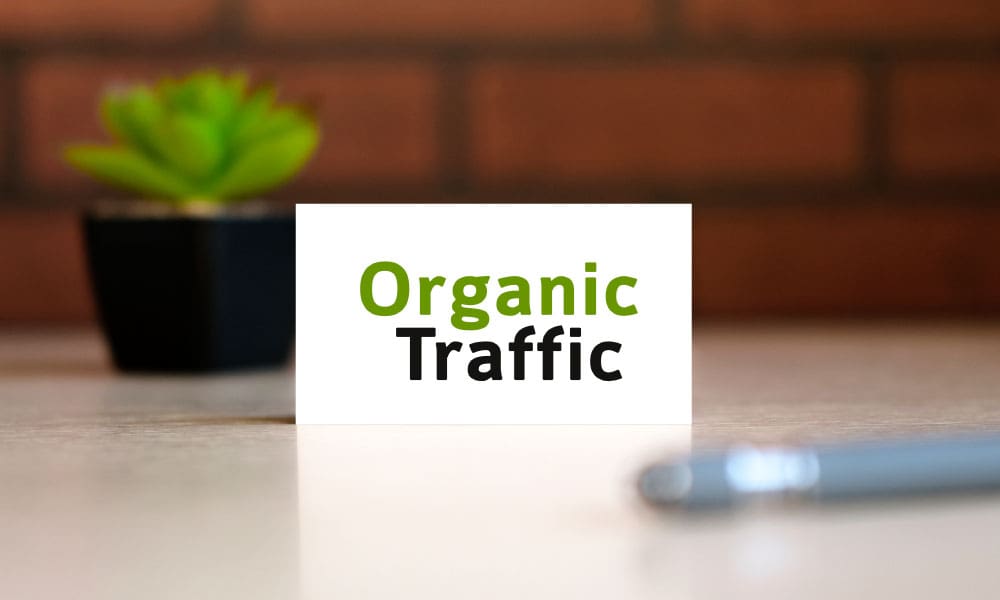 organic website traffic