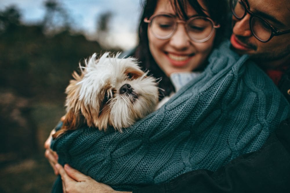 Woman loving her pet dog in her jumper